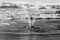 PŘÍRODA A ŽIVOTNÍ PROSTŘEDÍ 1. cena - Zlaté oko VÁCLAV ŠILHA, volný fotograf: Antarktida – jiná planeta, leden 2012 (série)