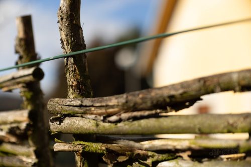 Recenze Canon EOS RF 45 mm f/1.2 USM