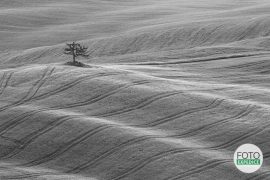 Fotoexpedice Toskánsko krajinářská fotografie